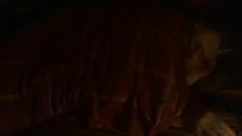 Snapshot of dorsetbiker714 chatting on December 2024 09:33:01 PM Hello  welcome to Slutsville  I am the Naked Chef  really  but you may call me Peter online show from December 2024 09:33:01 PM