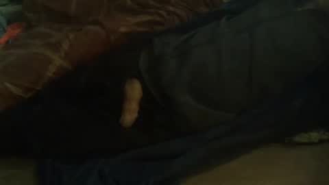 Snapshot of dorsetbiker714 chatting on February 2025 10:04:01 AM Hello  welcome to Slutsville  I am the Naked Chef  really  but you may call me Peter online show from February 2025 10:04:01 AM