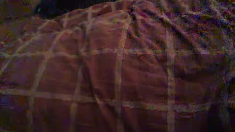 Snapshot of dorsetbiker714 chatting on October 2025 10:54:02 AM Hello  welcome to Slutsville  I am the Naked Chef  really  but you may call me Peter online show from October 2025 10:54:02 AM