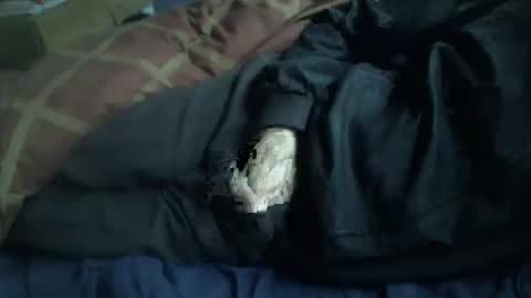 Hello  welcome to Slutsville  I am the Naked Chef  really  but you may call me Peter online show from January 2026 09:58:02 AM