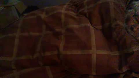 Hello  welcome to Slutsville  I am the Naked Chef  really  but you may call me Peter online show from February 2026 08:53:01 AM