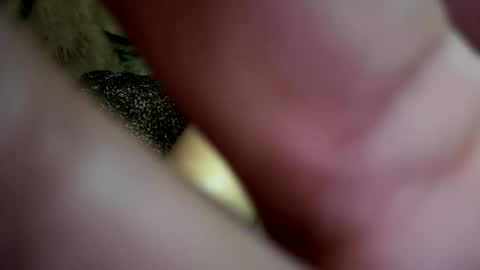 dove_love22 online show from November 2025 02:43:02 AM