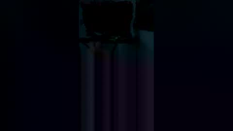 Snapshot of dpickle699 chatting on April 2026 04:12:01 AM dpickle699 online show from April 2026 04:12:01 AM