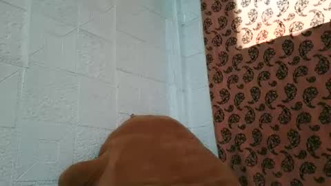 drain_me29 online show from January 2026 01:55:02 AM