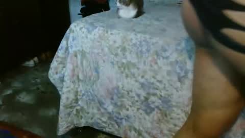 Snapshot of dream_real chatting on October 2025 02:07:01 PM dreamreal online show from October 2025 02:07:01 PM