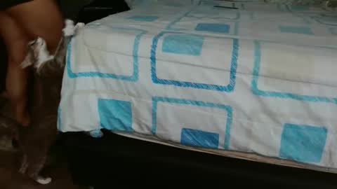 Snapshot of dream_real chatting on November 2025 02:41:01 PM dreamreal online show from November 2025 02:41:01 PM