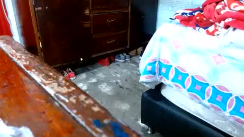 Snapshot of dream_real chatting on November 2025 10:58:01 AM dreamreal online show from November 2025 10:58:01 AM