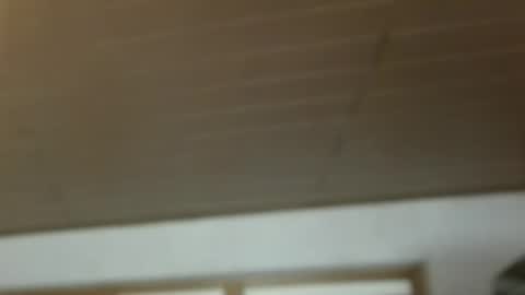 Dreambob online show from December 2025 11:17:02 AM