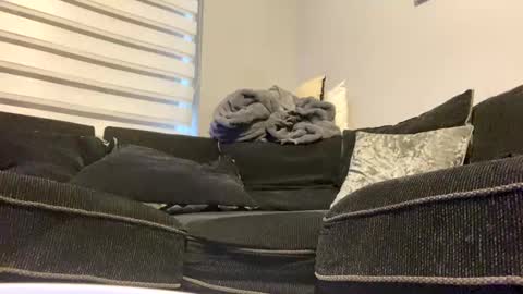 drippinggenie online show from December 2024 02:05:02 PM