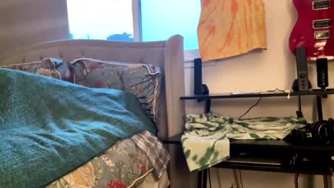 driving_perfectly online show from March 2026 01:55:02 AM