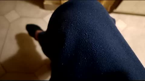 Snapshot of dthedog12 chatting on February 2025 12:27:02 AM dthedog12 online show from February 2025 12:27:02 AM