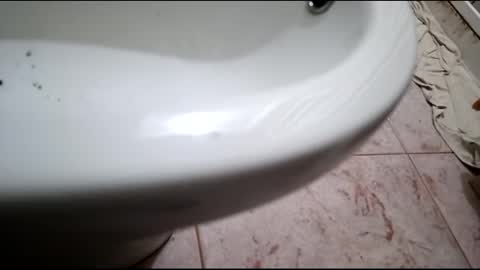 Snapshot of dthedog12 chatting on February 2025 07:52:01 PM dthedog12 online show from February 2025 07:52:01 PM