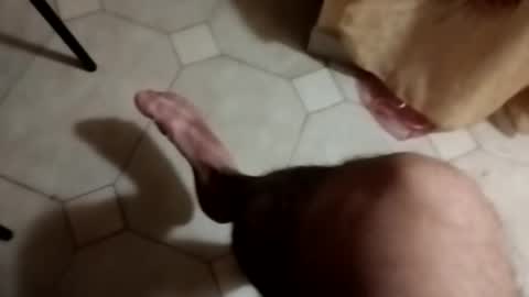 Snapshot of dthedog12 chatting on September 2025 09:28:02 PM dthedog12 online show from September 2025 09:28:02 PM