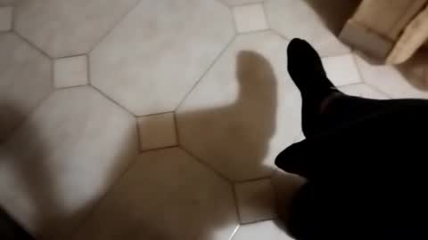 Snapshot of dthedog12 chatting on October 2025 01:50:01 AM dthedog12 online show from October 2025 01:50:01 AM