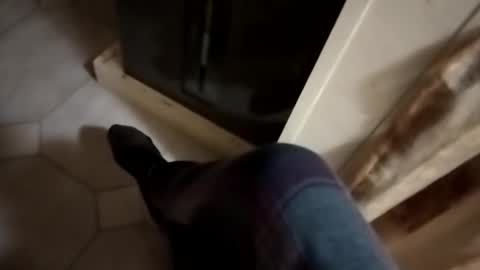 Snapshot of dthedog12 chatting on October 2025 01:03:01 AM dthedog12 online show from October 2025 01:03:01 AM