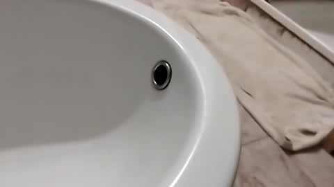 Snapshot of dthedog12 chatting on November 2025 10:12:01 PM dthedog12 online show from November 2025 10:12:01 PM