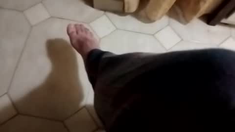 Snapshot of dthedog12 chatting on November 2025 11:48:01 PM dthedog12 online show from November 2025 11:48:01 PM