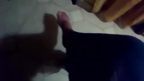 Snapshot of dthedog12 chatting on November 2025 06:41:02 PM dthedog12 online show from November 2025 06:41:02 PM