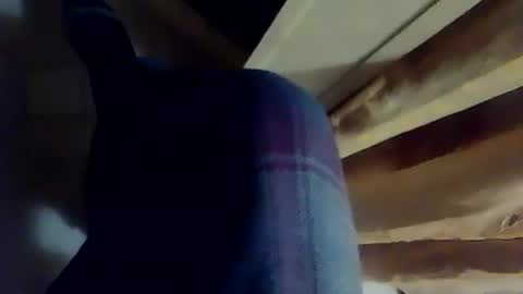 Snapshot of dthedog12 chatting on December 2025 10:41:02 PM dthedog12 online show from December 2025 10:41:02 PM