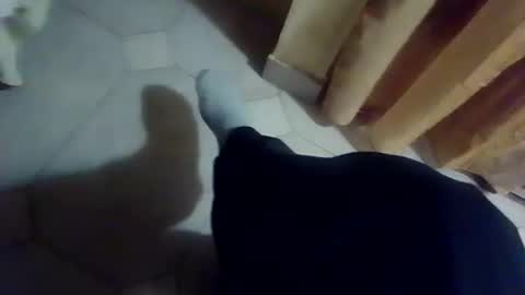 Snapshot of dthedog12 chatting on December 2025 09:42:01 PM dthedog12 online show from December 2025 09:42:01 PM