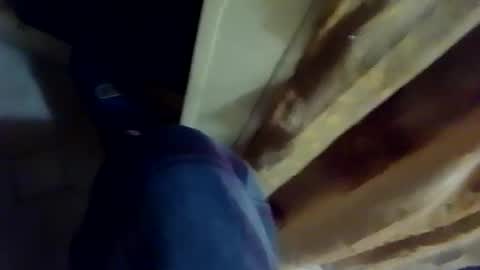 dthedog12 online show from February 2026 03:12:02 AM