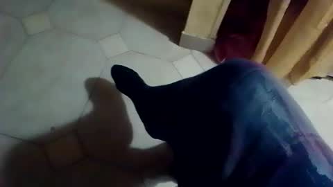 dthedog12 online show from February 2026 01:09:02 AM