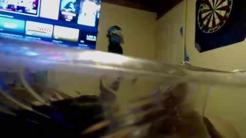 dtrain6969420 online show from September 2025 02:04:02 AM