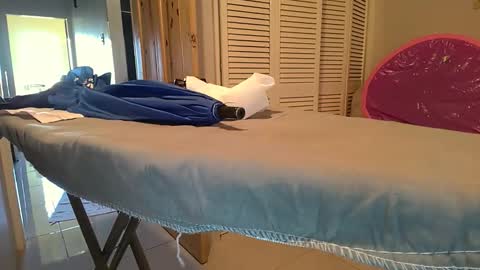 Snapshot of ducktape69 chatting on March 2026 08:55:01 PM ducktape69 online show from March 2026 08:55:01 PM