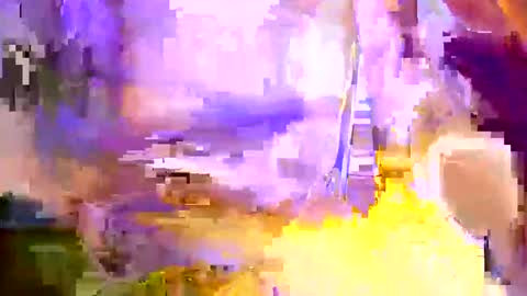 nomadjon online show from February 2025 05:09:01 AM