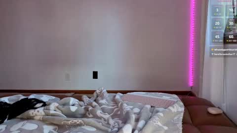 Dust Bunni online show from May 2026 12:11:01 PM