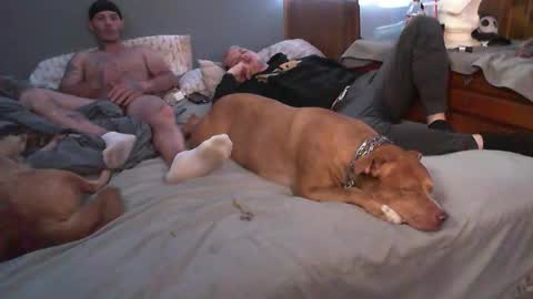 dustinwyant1983 online show from November 2025 07:12:01 PM