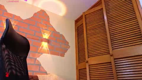 D Y L A N online show from December 2025 09:33:02 PM