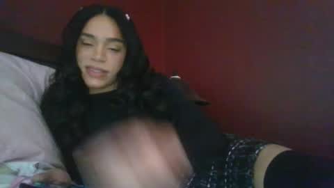 Dynasty online show from December 2024 06:06:01 PM