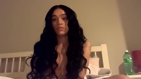 Dynasty online show from January 2025 11:38:01 PM