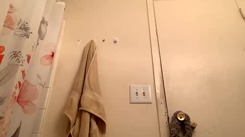 Snapshot of easybreeze69 chatting on January 2025 08:32:01 PM easybreezy69 online show from January 2025 08:32:01 PM