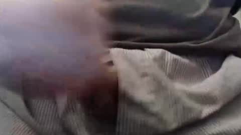 eat_a_peach2 online show from February 2025 11:12:01 PM