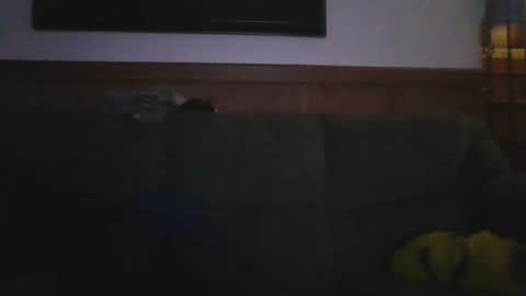 Eazyb91 online show from June 2026 04:14:02 AM