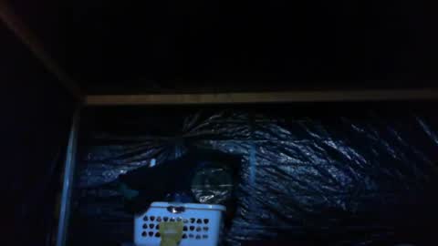 ebear1 online show from February 2025 09:36:01 PM