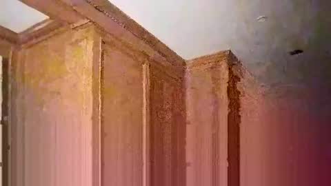 eboy4sale online show from January 2025 10:40:02 AM