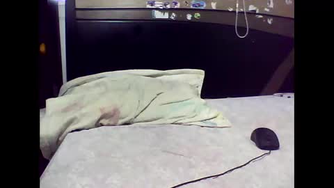 Edd Gallego online show from November 2025 07:05:01 PM