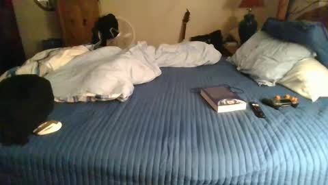 Edeaan online show from December 2024 02:23:02 AM