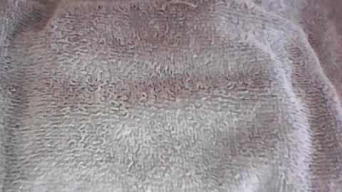 Edgedrip online show from June 2026 12:20:02 PM