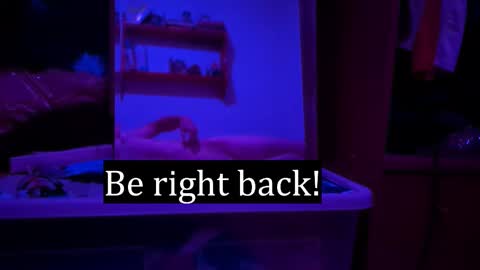 Alex online show from February 2026 02:53:01 AM