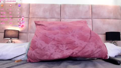 Snapshot of eevee_taylor chatting on January 2025 02:53:01 PM Eevee online show from January 2025 02:53:01 PM