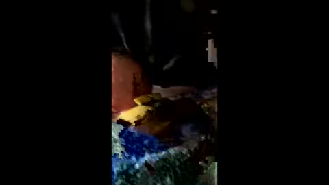 ehdgher online show from February 2026 11:21:01 AM