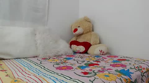 eileenmost online show from December 2024 11:46:02 PM