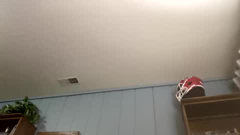 PiedPiper online show from April 2026 11:18:02 AM