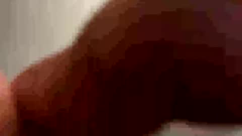 Snapshot of ejbooker11 chatting on May 2026 11:27:01 AM PiedPiper online show from May 2026 11:27:01 AM