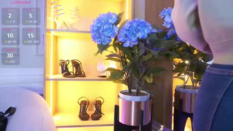 Elasummeer online show from November 2025 11:53:02 AM