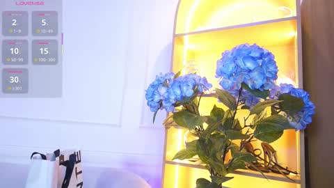 Elasummeer online show from November 2025 11:57:02 AM